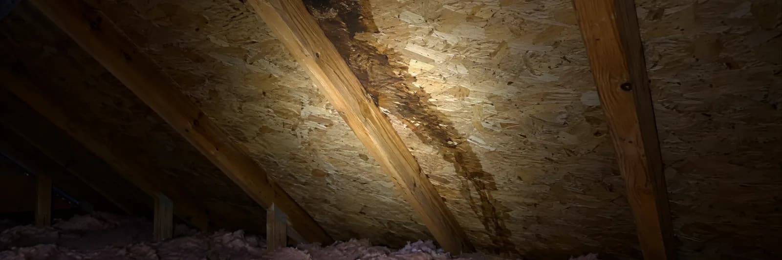 A flashlight showing a water stain running down a rafter inside an attic