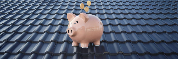 piggy bank sitting on a metal roof