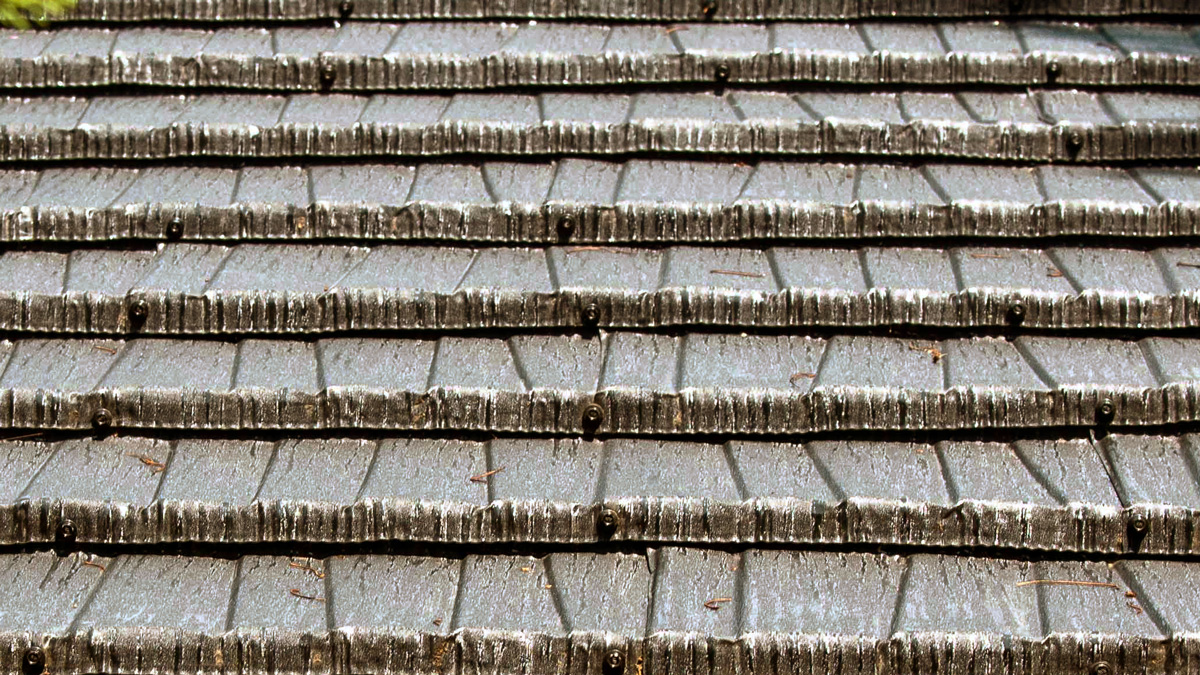 Banff metal roof panel